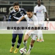 勒沃库森(勒沃库森最新消息)