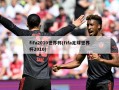 fifa2010世界杯(fifa足球世界杯2010)