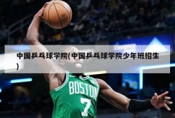 中国乒乓球学院(中国乒乓球学院少年班招生)