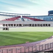 羽毛球男单决赛(2008奥运会羽毛球男单决赛)