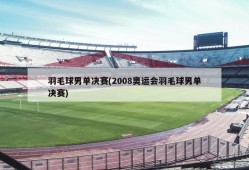羽毛球男单决赛(2008奥运会羽毛球男单决赛)