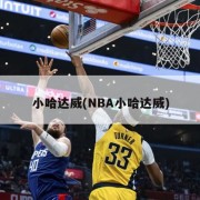小哈达威(NBA小哈达威)