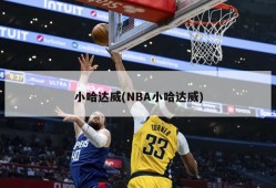 小哈达威(NBA小哈达威)