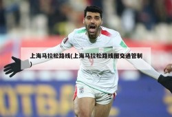上海马拉松路线(上海马拉松路线图交通管制)