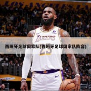 西班牙足球国家队(西班牙足球国家队阵容)