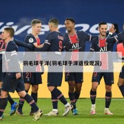 羽毛球于洋(羽毛球于洋退役现况)