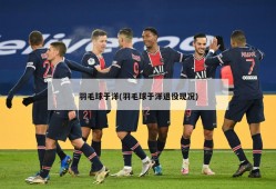 羽毛球于洋(羽毛球于洋退役现况)