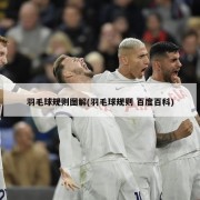 羽毛球规则图解(羽毛球规则 百度百科)