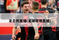 足总杯直播(足球现场直播)