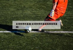足球世界杯直播(足球世界杯直播莫西体育直播)