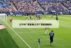 辽宁对广厦直播(辽宁广厦直播回放)