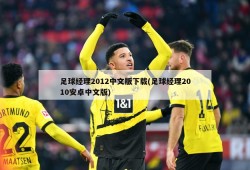 足球经理2012中文版下载(足球经理2010安卓中文版)