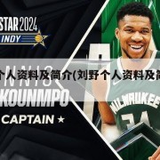 刘野个人资料及简介(刘野个人资料及简介图片)