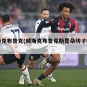 威斯克布鲁克(威斯克布鲁克斯是杂牌子吗知乎)