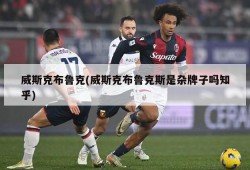 威斯克布鲁克(威斯克布鲁克斯是杂牌子吗知乎)