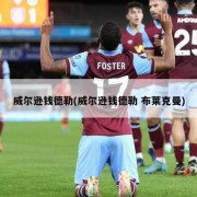 威尔逊钱德勒(威尔逊钱德勒 布莱克曼)