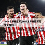 2006世界杯冠军(2006世界杯冠军是哪个国家)