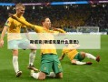 斯诺克(斯诺克是什么意思)