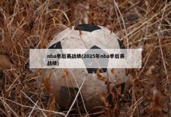 nba季后赛战绩(2025年nba季后赛战绩)