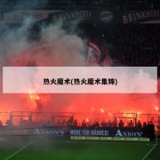 热火魔术(热火魔术集锦)