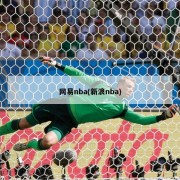 网易nba(新浪nba)