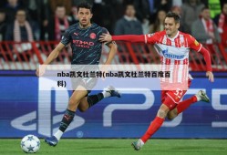 nba凯文杜兰特(nba凯文杜兰特百度百科)