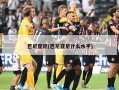 巴尼亚尼(巴尼亚尼什么水平)