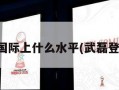 武磊在国际上什么水平(武磊登上国际)