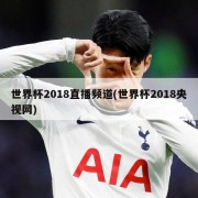 世界杯2018直播频道(世界杯2018央视网)