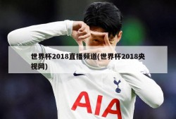 世界杯2018直播频道(世界杯2018央视网)