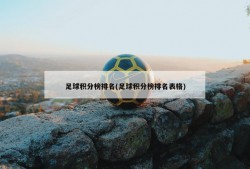 足球积分榜排名(足球积分榜排名表格)