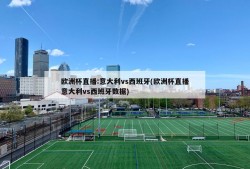 欧洲杯直播:意大利vs西班牙(欧洲杯直播意大利vs西班牙数据)
