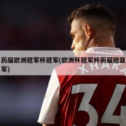 历届欧洲冠军杯冠军(欧洲杯冠军杯历届冠亚军)