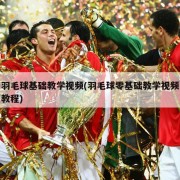 羽毛球基础教学视频(羽毛球零基础教学视频教程)