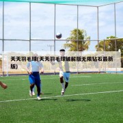 天天羽毛球(天天羽毛球破解版无限钻石最新版)