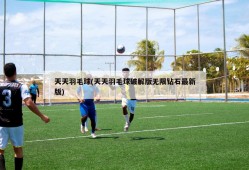 天天羽毛球(天天羽毛球破解版无限钻石最新版)