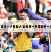 世界杯小组赛分组(世界杯小组赛分组一览)