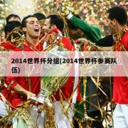 2014世界杯分组(2014世界杯参赛队伍)