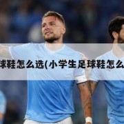 足球鞋怎么选(小学生足球鞋怎么选)