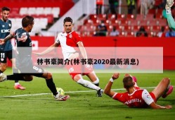 林书豪简介(林书豪2020最新消息)
