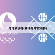 足球欧洲杯(男子足球欧洲杯)
