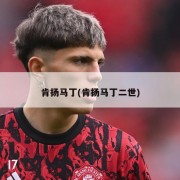 肯扬马丁(肯扬马丁二世)