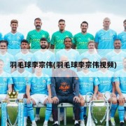 羽毛球李宗伟(羽毛球李宗伟视频)