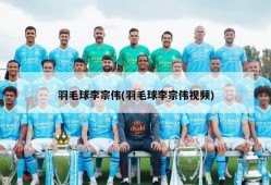羽毛球李宗伟(羽毛球李宗伟视频)