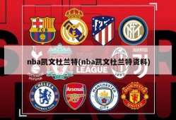 nba凯文杜兰特(nba凯文杜兰特资料)