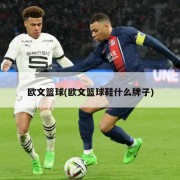 欧文篮球(欧文篮球鞋什么牌子)