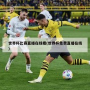 世界杯比赛直播在线看(世界杯免费直播在线)
