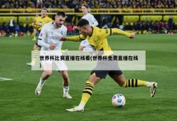 世界杯比赛直播在线看(世界杯免费直播在线)