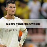 埃尔顿布兰德(埃尔顿布兰德集锦)