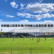 热刺确认凯恩伤情(热刺确认凯恩伤情 新闻)